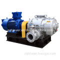 Special Gas/Chemical Gas/Natural Gas Roots Blower (RRG-500)
